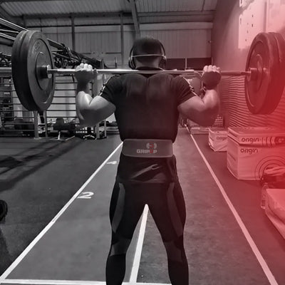 Back Support Belt