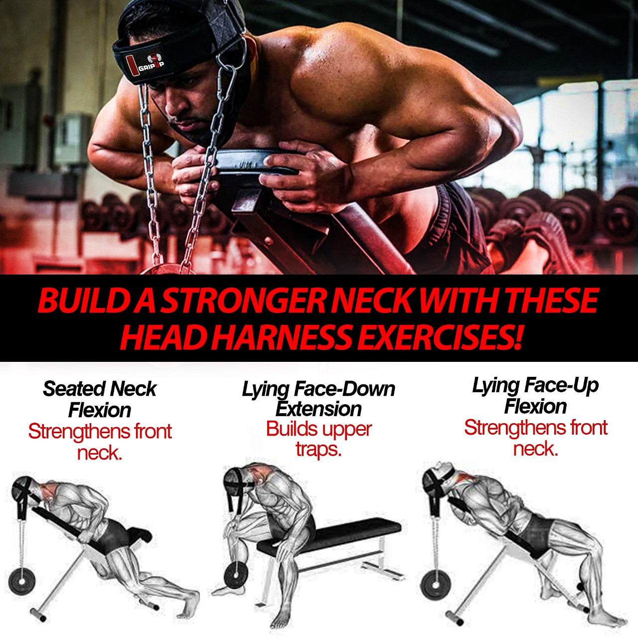 GripUp Neck Harness 4MM Padded Neck Developer 90CM adjustable Steel Chain